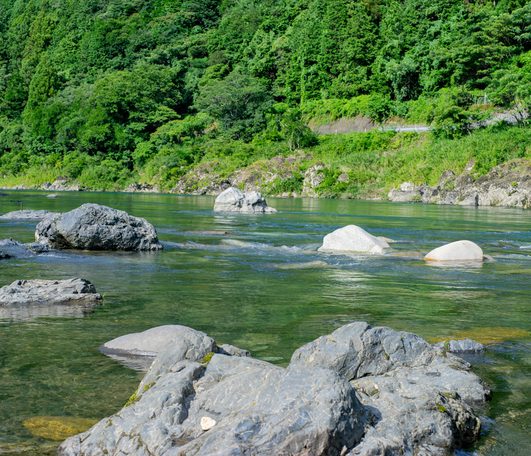 岐阜の川辺の風景